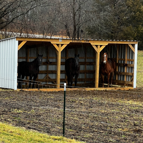 Livestock structures